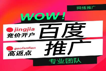 百度平台推广案例：助力企业快速扩张